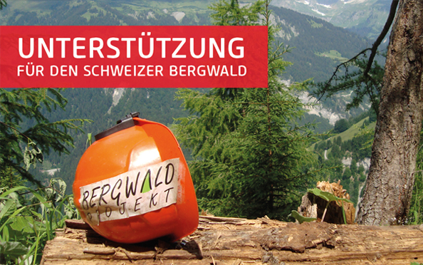 Unterstuetzung fuer den schweizer bergwald