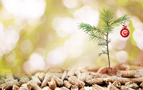newsbild weihnachten